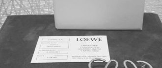 ツムツムのレビューを書いてルビーを入手 image 0