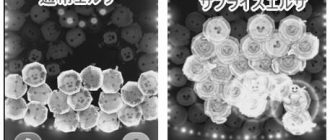 ツムツムのサプライズエルサのスキル photo 0